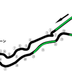 Saudi-2